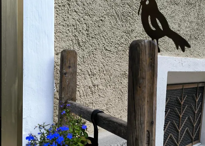 Homestay Casa Da Cipi